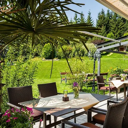 Hubertus ホテル Neukirchen am Großvenediger